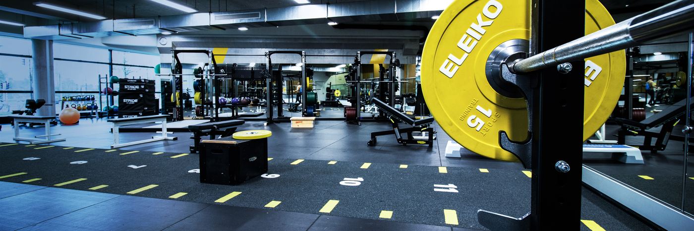 The training hall with a yellow weight plate in the foreground