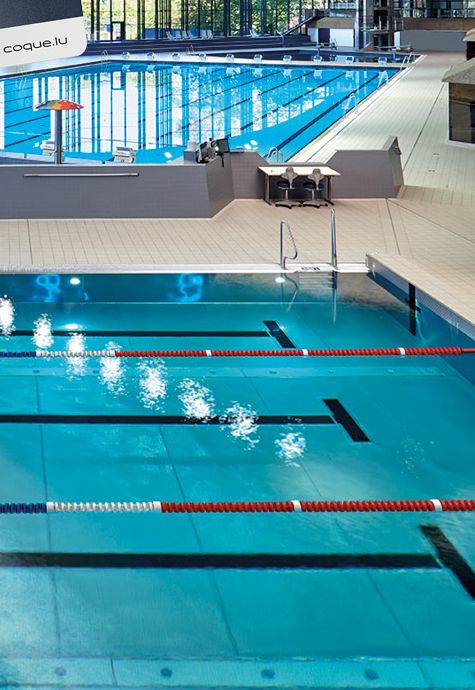 The swimming pool with lane ropes